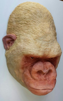 Dodenmasker Albino Gorilla